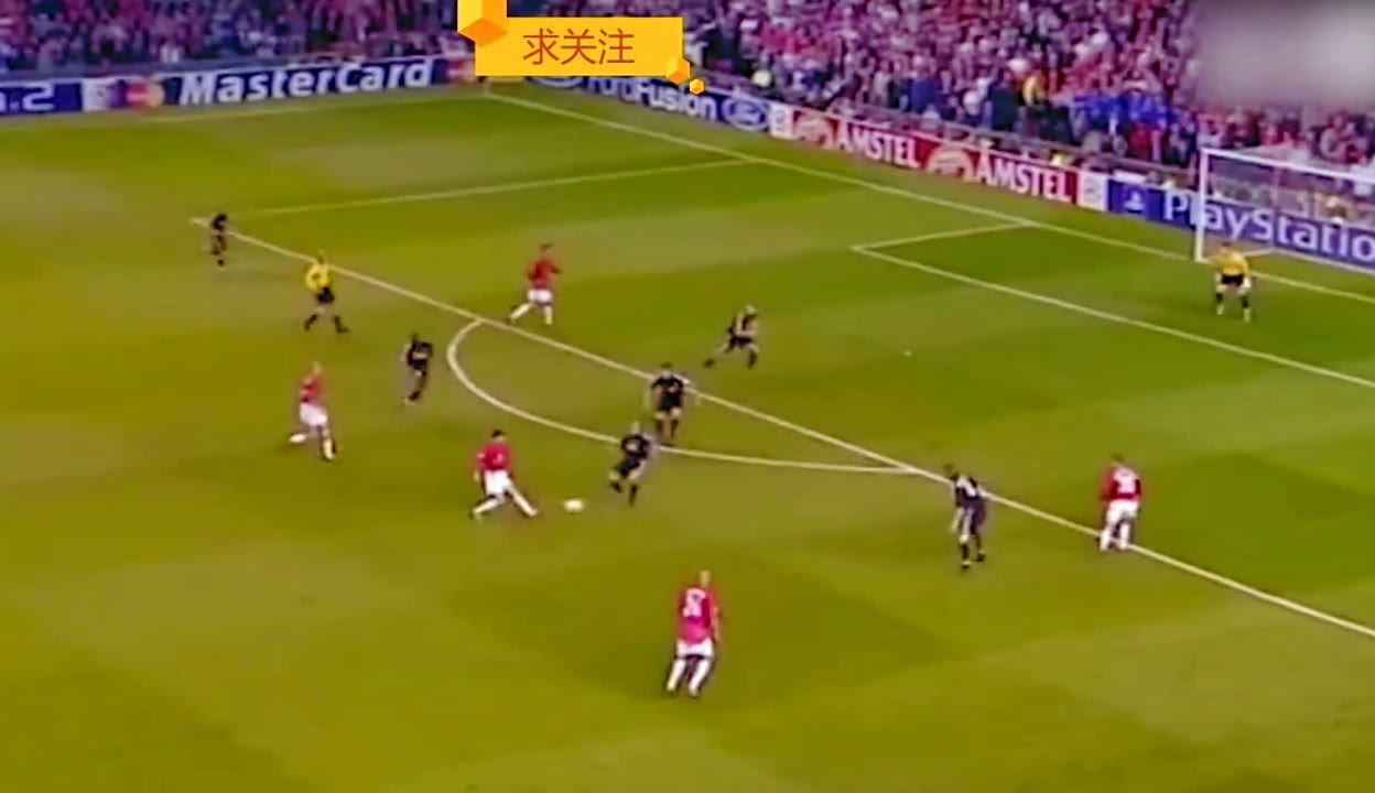 损伤对泰山 损伤对泰山