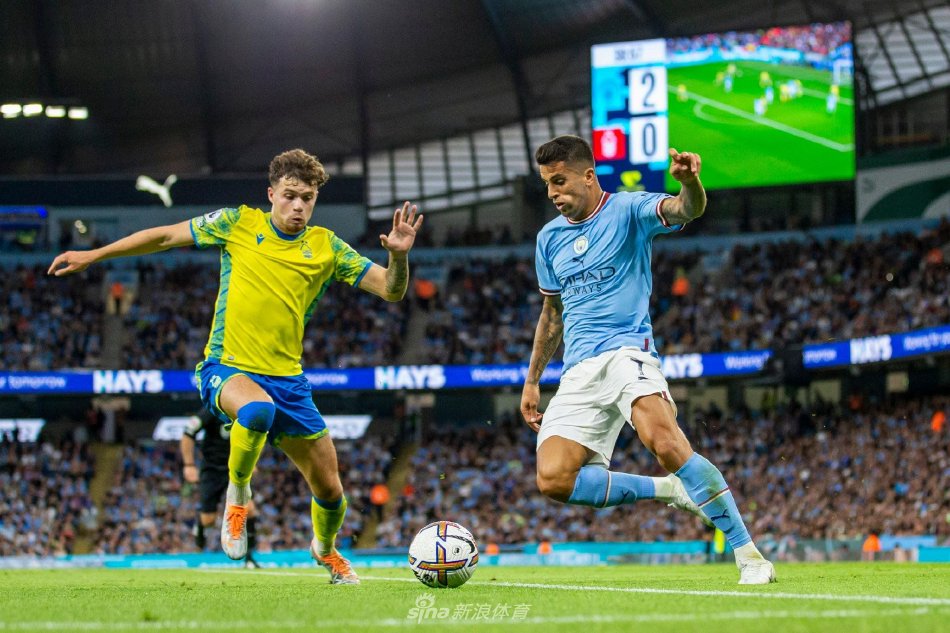 附案例引用 附案例引用